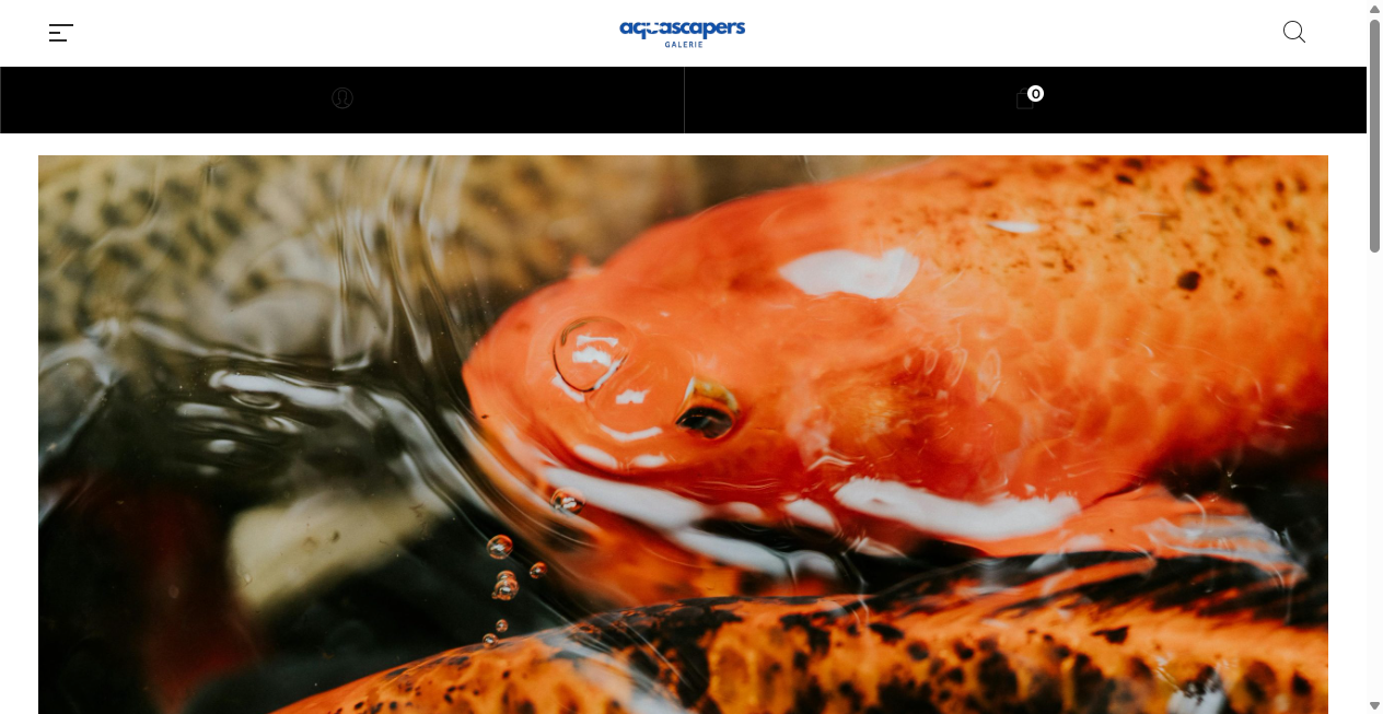aquascapers-galerie-com
