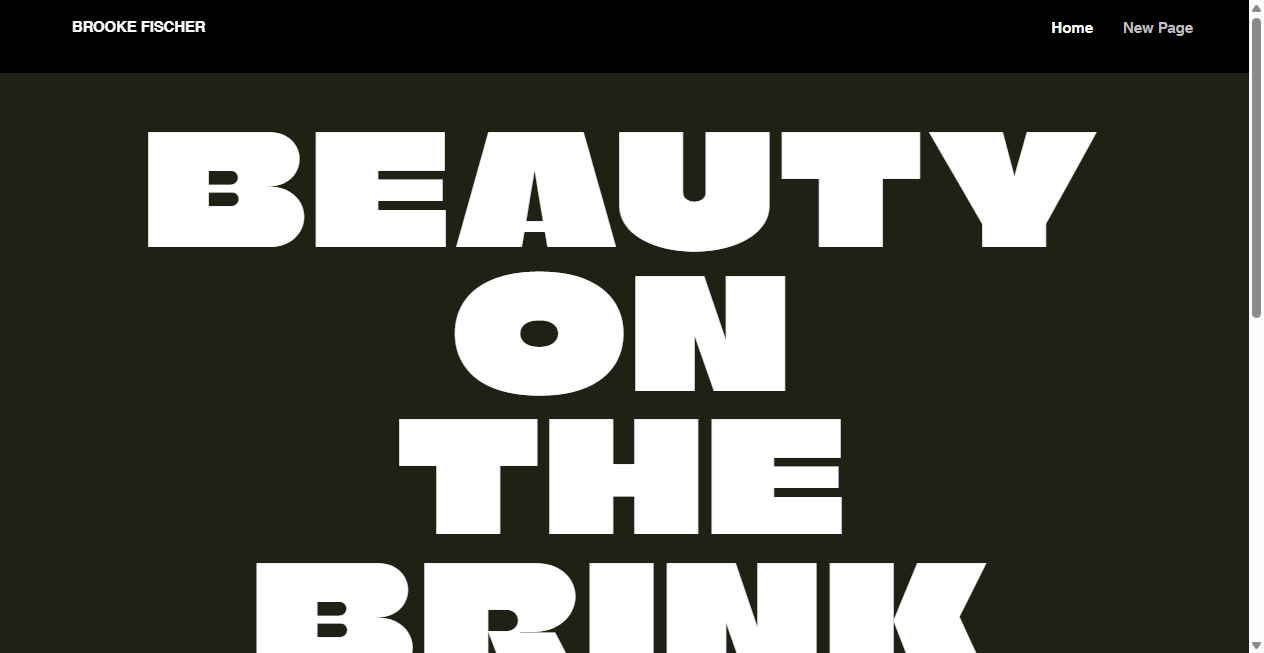 Bestätigte Warnung zu beautyonthebrink.com (2026)