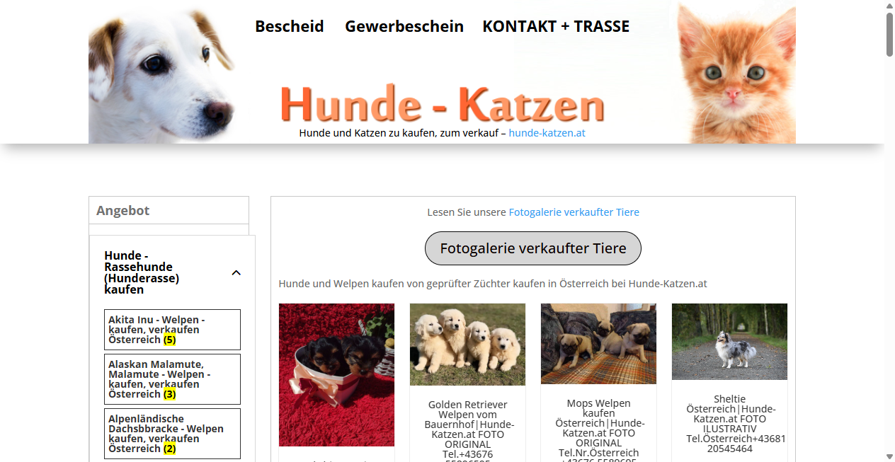 hunde-katzen-at