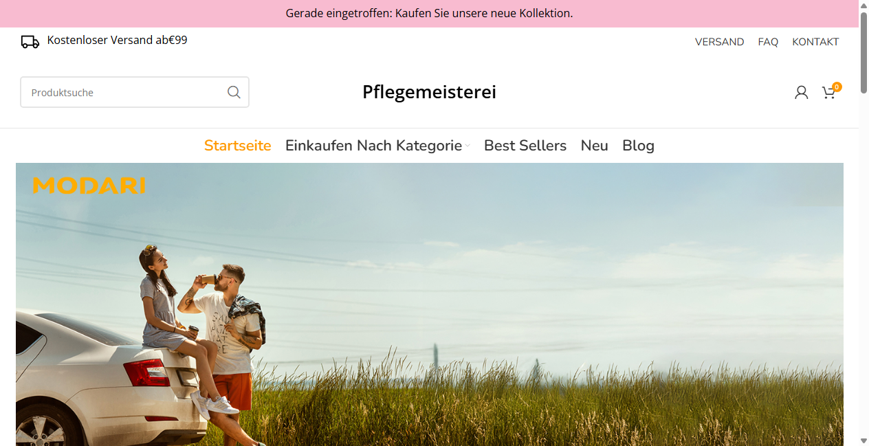 Bestätigte Warnung zu pflegemeisterei.de (2026)